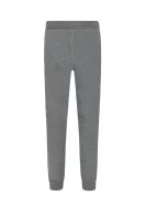Sweatpants | Regular Fit Dsquared2 gray