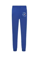 Sweatpants | Regular Fit Tommy Hilfiger navy blue