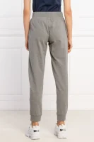 Sweatpants | Regular Fit EA7 gray