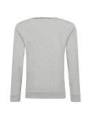 Sweatshirt | Regular Fit POLO RALPH LAUREN gray
