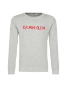 Sweatshirt terry | Regular Fit CALVIN KLEIN JEANS gray