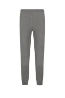 Spodnie dresowe | Regular Fit EA7 szary