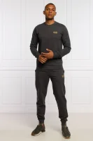 спортивні штани | regular fit EA7 сірий