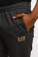 Sweatpants | Regular Fit EA7 gray