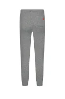 Sweatpants | Regular Fit Diesel gray
