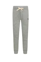 Trousers | Regular Fit POLO RALPH LAUREN gray