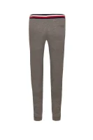 Spodnie dresowe | Regular Fit Tommy Hilfiger szary