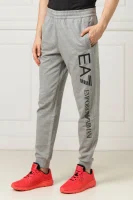 Spodnie dresowe | Regular Fit EA7 сірий