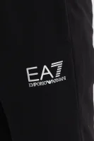 Spodnie dresowe | Regular Fit EA7 czarny