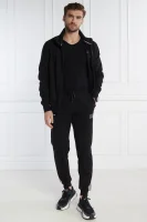 Спортивні штани | Regular Fit EA7 чорний