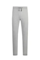 Spodnie dresowe Radir Pocket | Regular Fit Gas szary