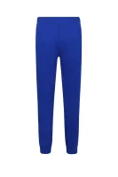Спортивні штани | Regular Fit POLO RALPH LAUREN темно-синій