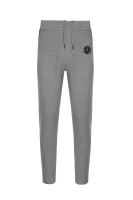 Sweatpants Armani Exchange gray