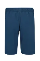 Swimming shorts | Regular Fit BOSS Kidswear blue