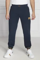 Sweatpants | Regular Fit EA7 navy blue