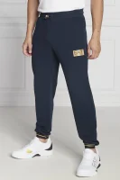 спортивні штани | regular fit EA7 темно-синій