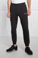 спортивні штани | regular fit Calvin Klein Performance чорний