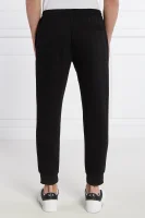 Спортивні штани | Regular Fit Armani Exchange чорний