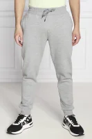Sweatpants ALDWIN | Regular Fit GUESS ACTIVE gray