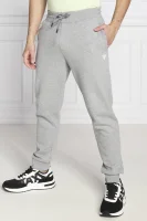 спортивні штани aldwin | regular fit GUESS ACTIVE сірий