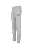 Sweatpants  EA7 gray