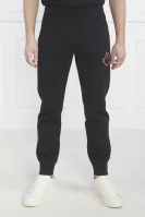 спортивні штани | regular fit Emporio Armani чорний