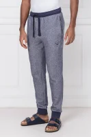 Sweatpants | Regular Fit Emporio Armani gray